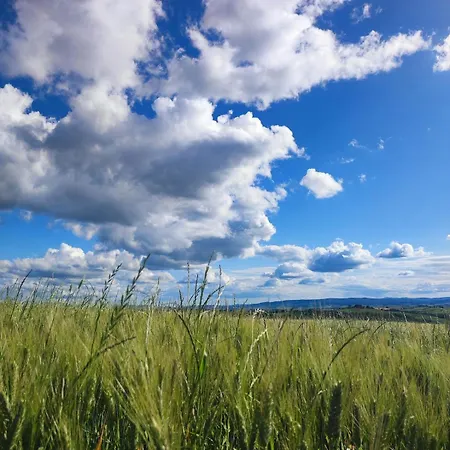 Hills By Bibi Le Crete Senesi Βίλα Vescona