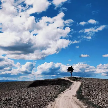 Hills By Bibi Le Crete Senesi Βίλα Vescona