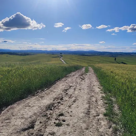 Hills By Bibi Le Crete Senesi Vescona