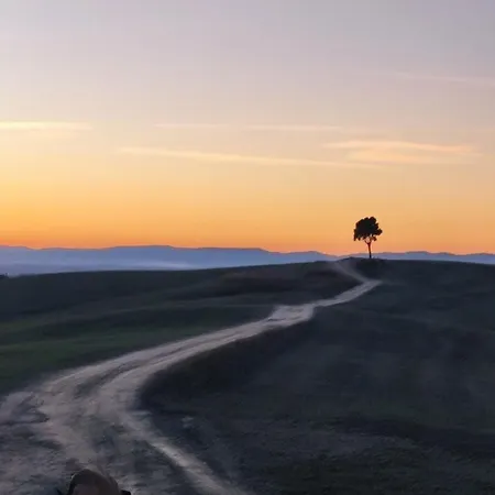 Hills By Bibi Le Crete Senesi Βίλα Vescona